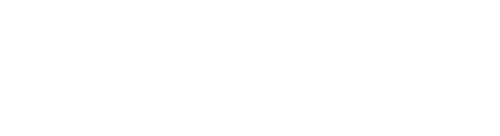 v4company-LOGO